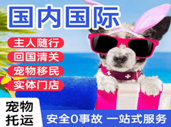惠州航空物流国际宠物托运 【国